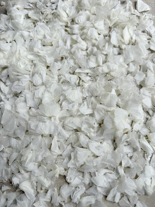 10 Handfuls | White Hydrangea Petal Natural Wedding Confetti | 100% Natural & Biodegradable