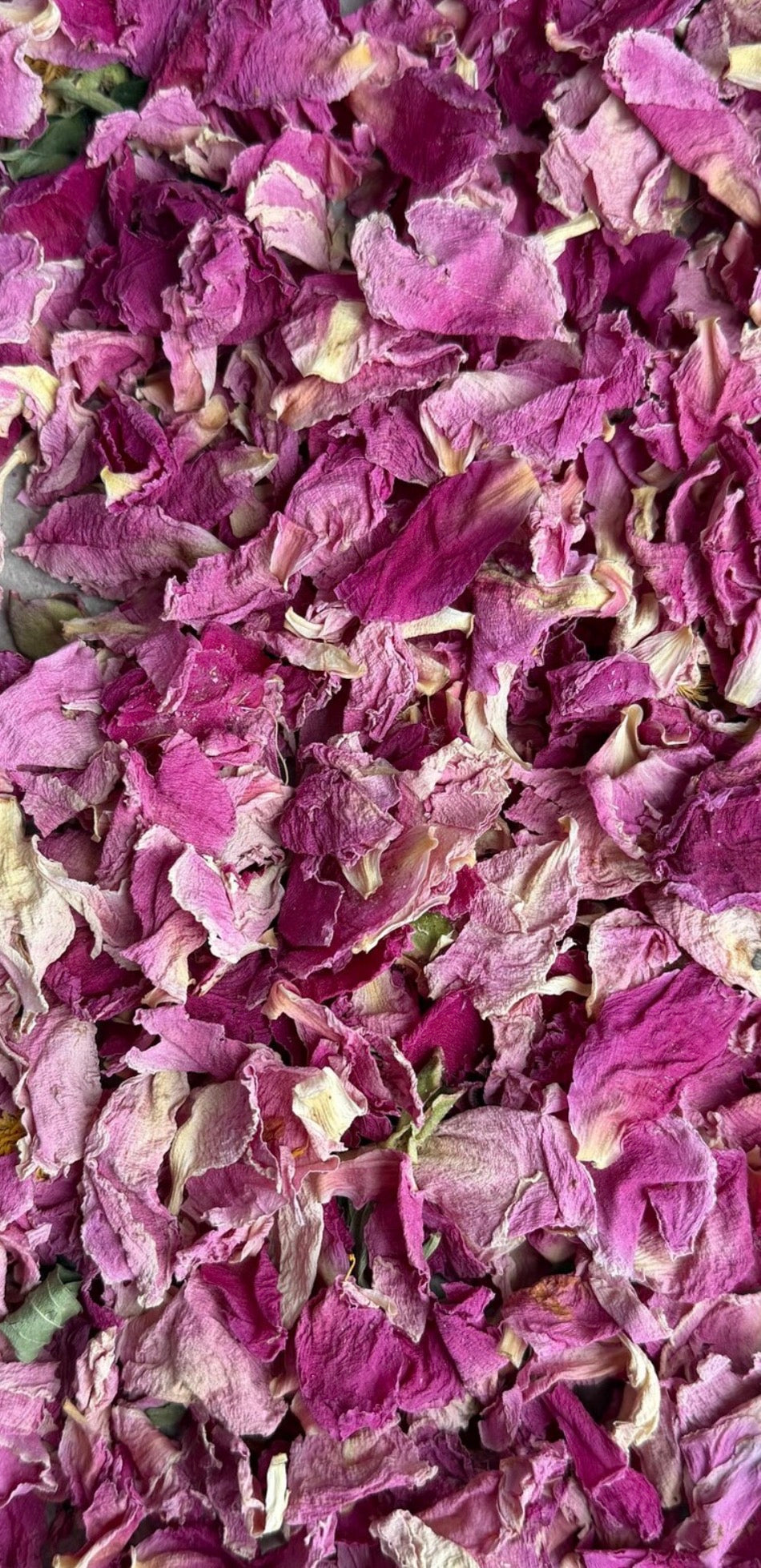 10 Handfuls | Peony Petal Natural Wedding Confetti | 100% Natural & Biodegradable